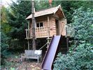 343.jpg