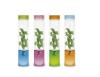 Plantarium Pet fles