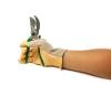 Tuin handschoen