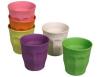 Cupful of Colour