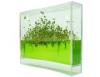 Plantarium Super