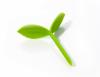 bookmark Sprout
