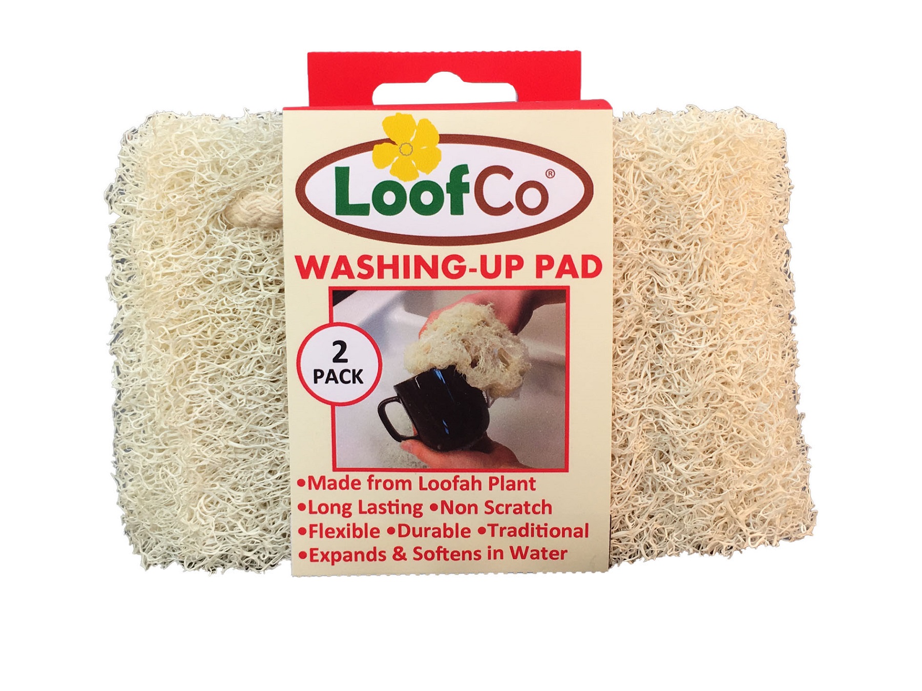 Afwasspons Loofco - 2st