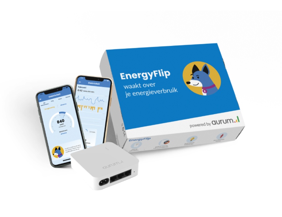 EnergyFlip - Energieverbrauchzähler für intelligenten Zähler