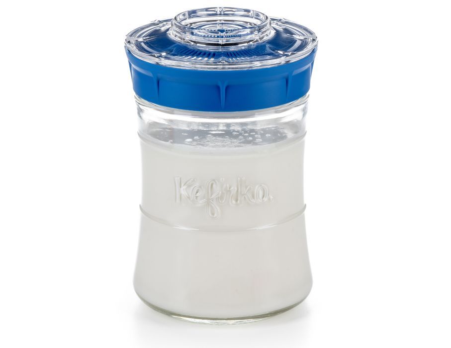 Melk en Water Kefir maker 900 ml.