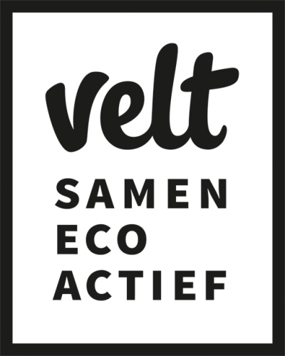 Velt logo