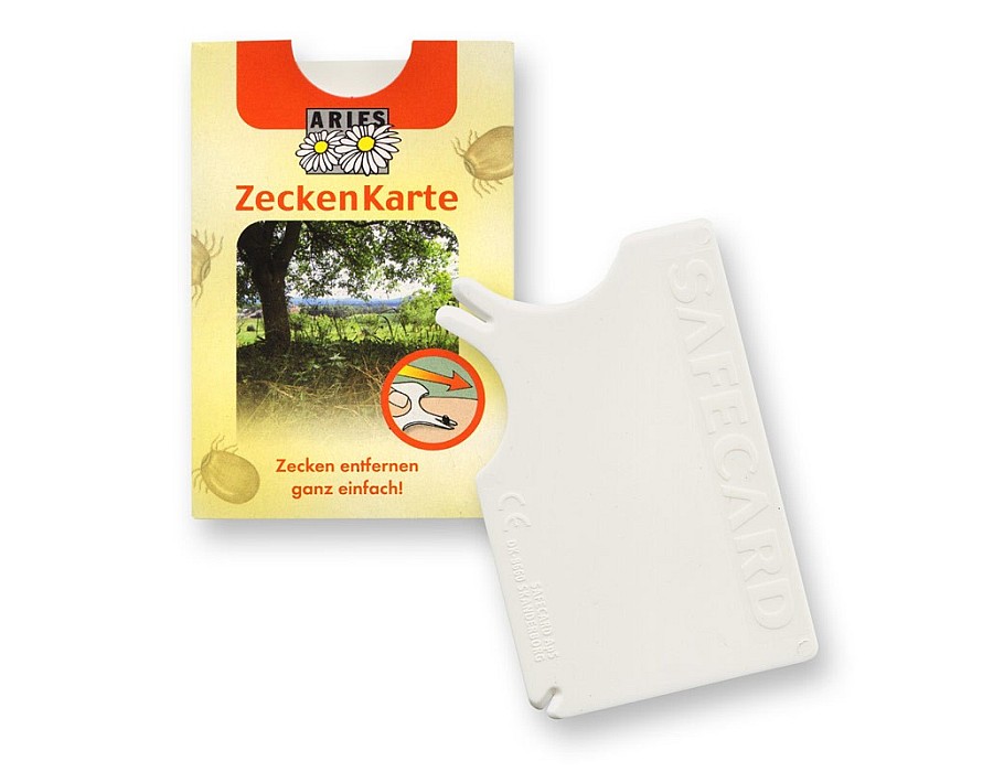 Tekenkaart zakformaat, 6 x 9 cm