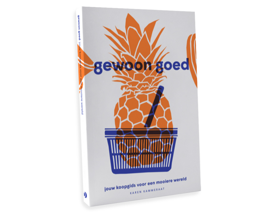 Boek Gewoon Goed