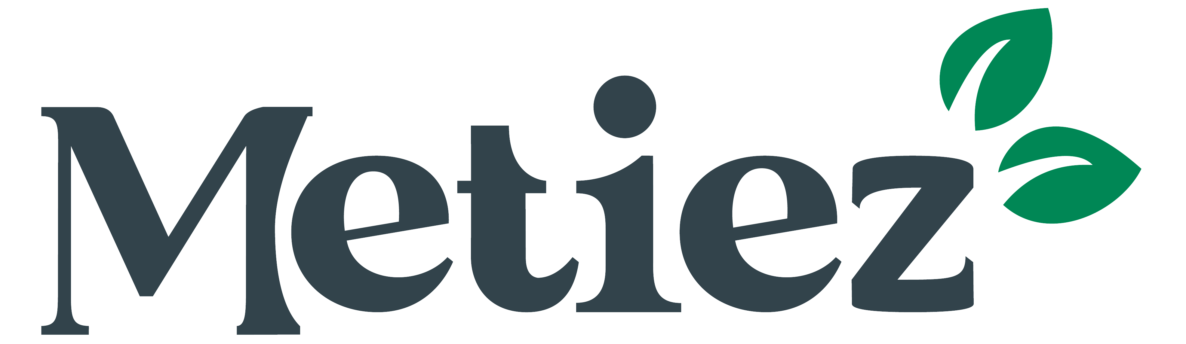 Metiez logo