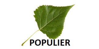 Populier logo