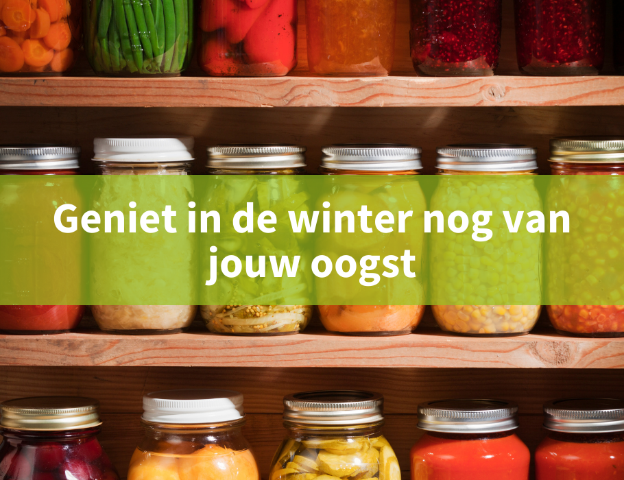 De rol van warmte bij het fermenteren van kombucha