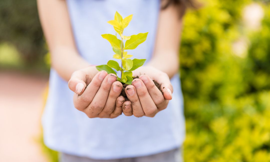 Wie man Kinder für das Thema Nachhaltigkeit begeistern kann