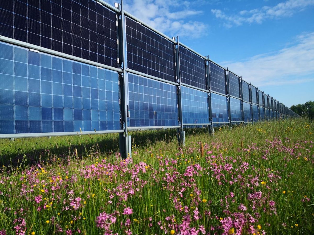 Solarstrom erzeugen, finanziell davon profitieren und gleichzeitig die Fläche weiter nutzen!