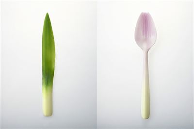 Prachtig Bio-Plastic bestek (wegwerp? )