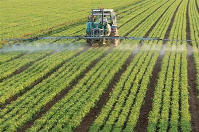 Bio-voedsel vermindert hoeveelheid pesticiden in het lichaam