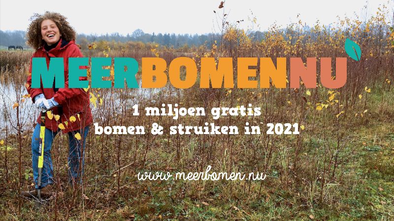 Meer Bomen Nu één miljoen bomen