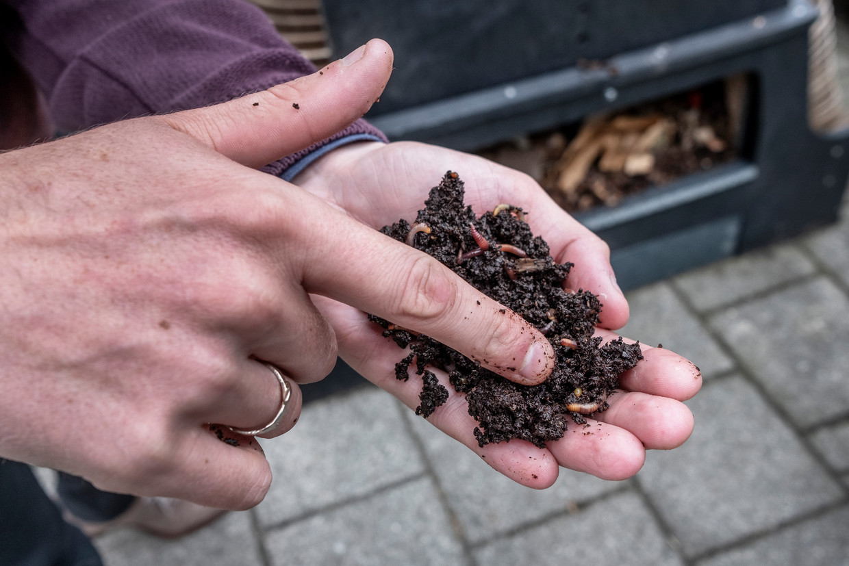 Het nieuwste hotel van Amsterdam gemaakt van Ecoboards