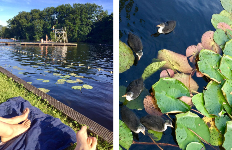 6x de mooiste natuurzwembaden en zwemplassen 