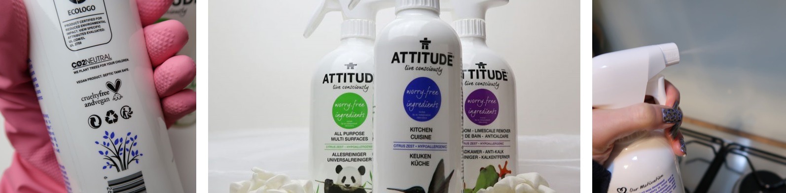 Attitude - Reiniging