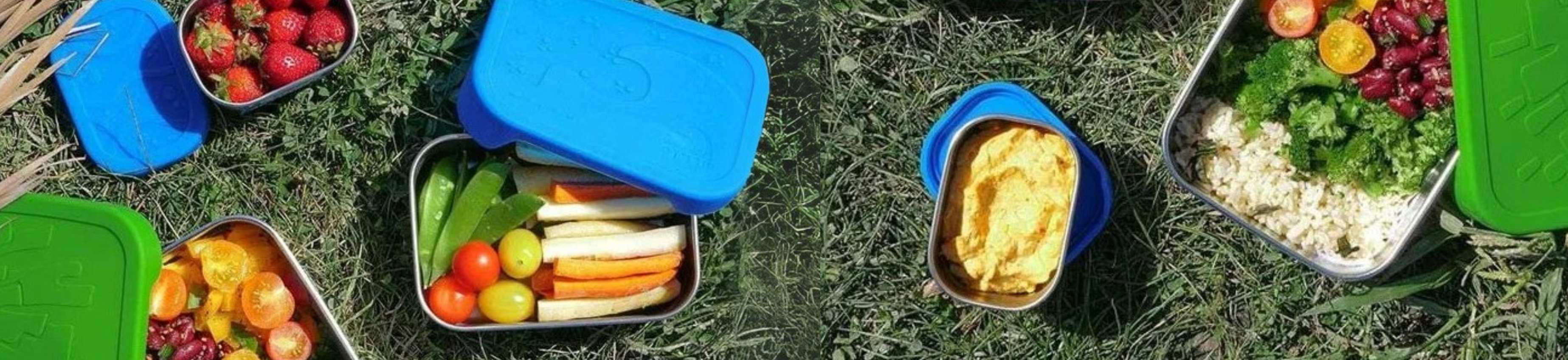 Blue Water Bento