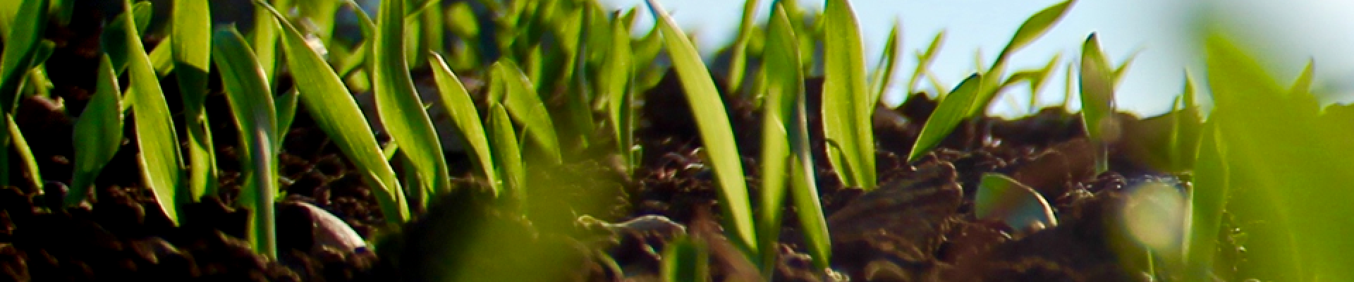 ECOstyle - tuin